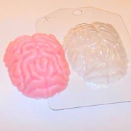 Мозги пластиковая форма